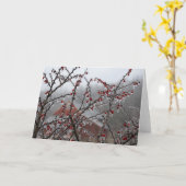 De Bessen van het ijs Kaart (Gele Bloem)