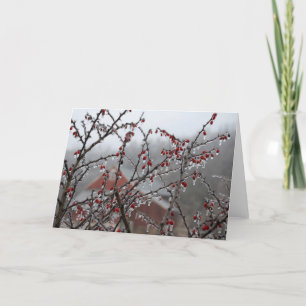 De Bessen van het ijs Kaart