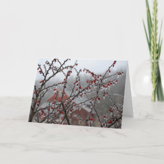 De Bessen van het ijs Kaart