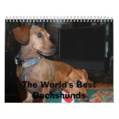 De beste Dachshunds ter wereld Kalender (Hoes)