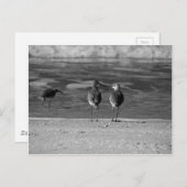 De beste dingen in het leven zijn gratis briefkaart (Voorkant / Achterkant)