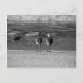 De beste dingen in het leven zijn gratis briefkaart (Voorkant)