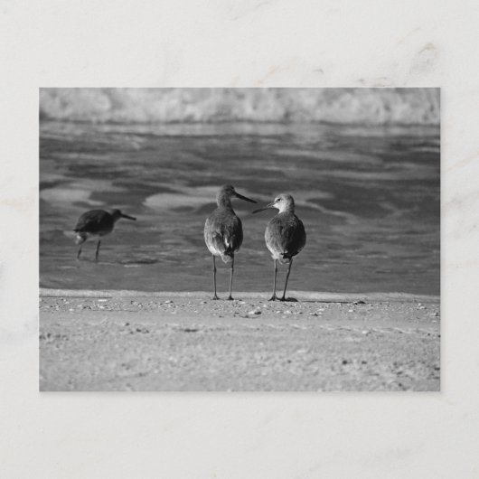 De beste dingen in het leven zijn gratis briefkaart (Voorkant)