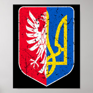 De Beste Dna Poolse Oekraïense Polen Oekraïne Vlag Poster
