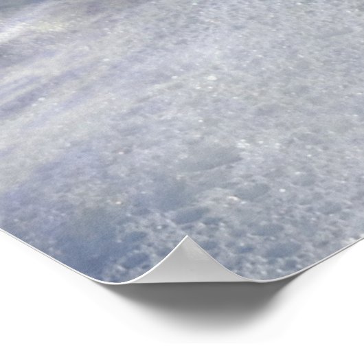 De beste glimlach van een dolfijn poster (Hoek)