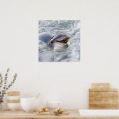 De beste glimlach van een dolfijn poster (Keuken)