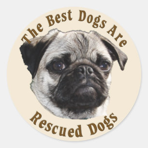 De beste honden worden gered (PUG) Ronde Sticker