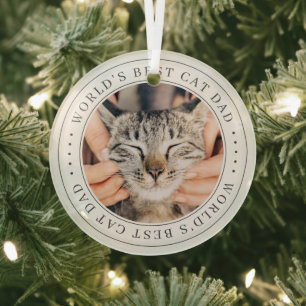 De beste kat-pap van de wereld is een simpele foto glas ornament