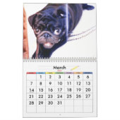 DE BESTE KEREN IN DE WERELD KALENDER (Mar 2027)