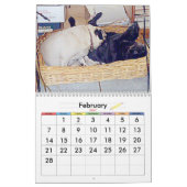 DE BESTE KEREN IN DE WERELD KALENDER (Feb 2027)