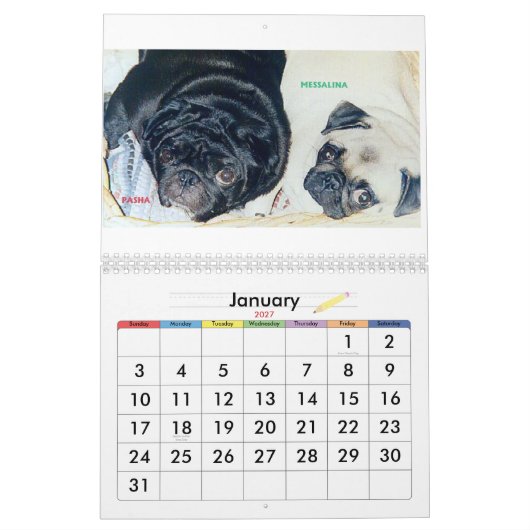 DE BESTE KEREN IN DE WERELD KALENDER (Jan 2027)