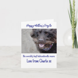 De beste labradoodle mama moederdag kaart ter were