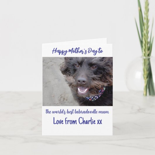 De beste labradoodle mama moederdag kaart ter were (Voorkant)