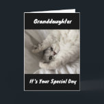 DE BESTE MAANDAG TOT ***GRANDDAUGHTER** KAART<br><div class="desc">BEDANKT OM TE STOPPEN MET EEN VAN MIJN ACHT STORES!</div>