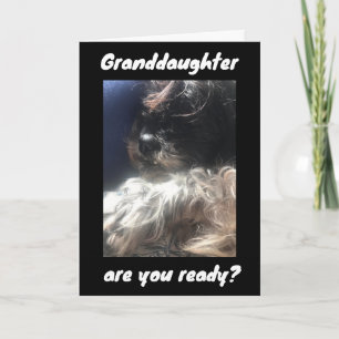 DE BESTE MAANDAG TOT ***GRANDDAUGHTER** KAART