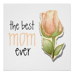 De beste moeder ooit perfect poster
