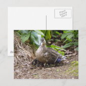 De beste moeder ter wereld briefkaart (Voorkant / Achterkant)