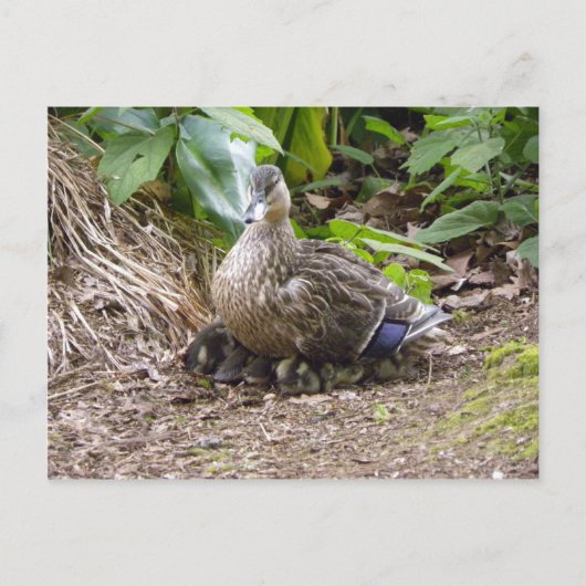 De beste moeder ter wereld briefkaart (Voorkant)