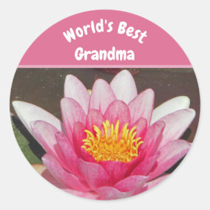 De beste oma Vivid Pink Water Lily Flower ter were Ronde Sticker