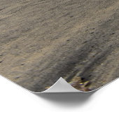 De beste surfer daar poster (Hoek)