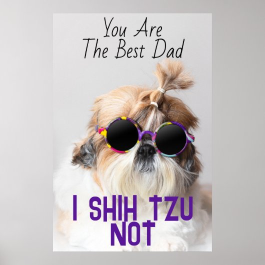 De Beste vader Shih Tzu Niet schattige grappige ho Poster (Voorkant)