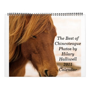 De beste van ChincoteagueFoto's van Hilar... Kalender