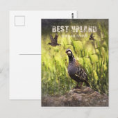 De beste vogeljacht in het hoogland briefkaart (Voorkant / Achterkant)