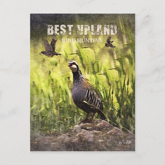 De beste vogeljacht in het hoogland briefkaart (Voorkant)