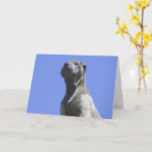 De Beste Vriend… Kaart (Gele Bloem)