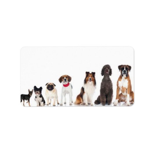 "De beste vriend van het man." Etiket (Voorkant)