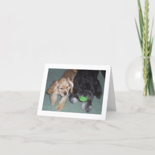 DE BESTE VRIENDEN VRIENDEN VORIGE TWEEDE DAG WIST  KAART