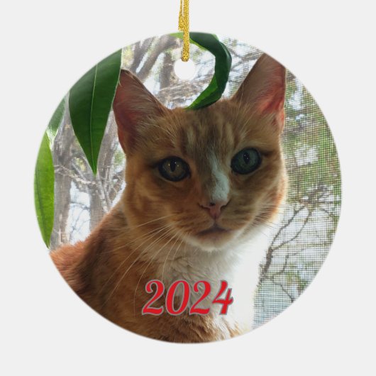 De beste wensen kat | dubbelzijdig keramisch ornament (Achterkant)