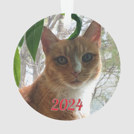 De beste wensen kat | dubbelzijdig ornament (achterkant)