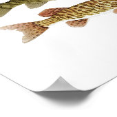 De beste zoetwatergamefish poster (Hoek)