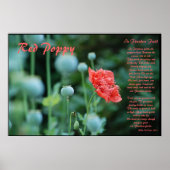 De betekenis van de Rode Poppy Poster (Voorkant)