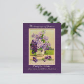 De betekenis van het Lila Briefkaart (Staand voorkant)