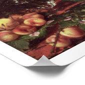 De betekenis van Smell Poster (Hoek)