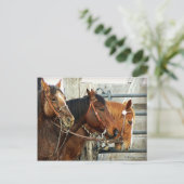 De beteugelde Hoofden van het Paard Briefkaart (Staand voorkant)