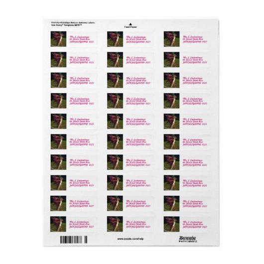 De betoger etiket (Full Sheet)