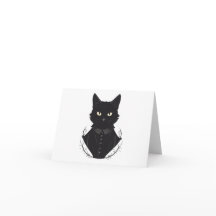 De betoverde zwarte kat van Salem