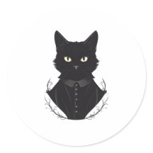 De betoverde zwarte kat van Salem