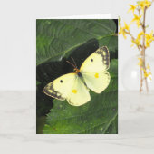 De Betrokken Gele Vlinder van Berger Kaart (Gele Bloem)