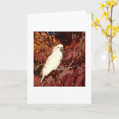 De bevederde Kaart van de Nota van de Kaketoe van (Gele Bloem)