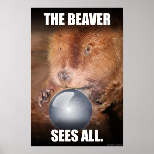 De bever ziet alles. poster (Voorkant)