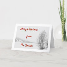 De bevroren Kerstkaart van het Meer