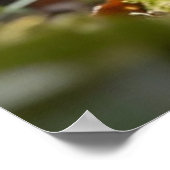 De Bewaker van Verborgen Erfgoed Poster (Hoek)
