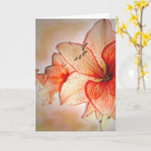 De Bewondering van de amaryllis Kaart (Gele Bloem)
