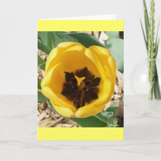 De bezige Kaart van de Tulp van de Bij (Voorkant)