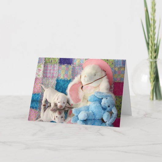 De Bezinning van de lente Kaart (Voorkant)