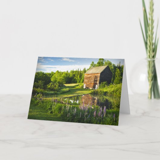 De Bezinningen van de lente in Adirondacks, N.Y. Kaart (Voorkant)